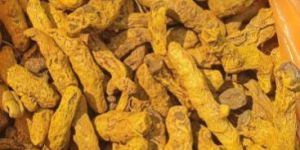 Visakhapatnam Turmeric Finger