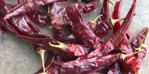 Wonder Hot Dry Red Chilli