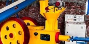 Biomass Briquetting Machine