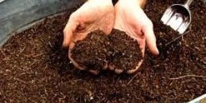 Fermented Organic Manure
