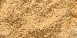 Wood Sawdust Powder
