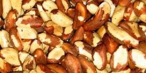Brazil Nuts