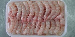 Frozen Vannamei Shrimp
