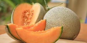 Muskmelon