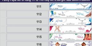 Fancy Payal Packing Pouch