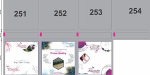 Payal Gola Packing Pouch