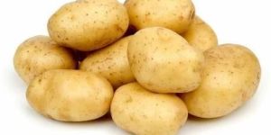 Fresh Potato