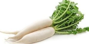 Fresh Radish