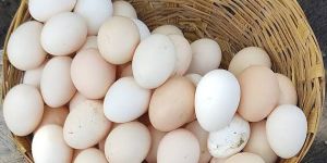 Desi Eggs
