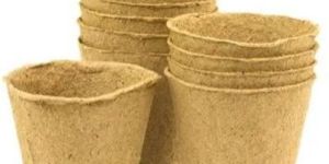 Biodegradable Plant Pot