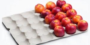Fruit And Vegetable Pulp Packaging Tray