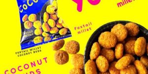 Yoyo Coconut Buds Foxtail Millet Sweet Pops Snacks