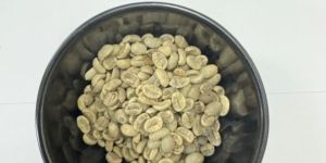 Green Arabica Plantation B Grade Coffee Beans