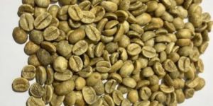 Green Arabica Cherry C Grade Coffee Beans