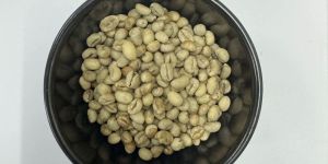 Green Robusta Parchment C Grade Coffee Beans