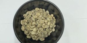 Green Arabica Cherry PB Grade Coffee Beans