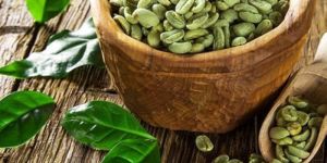 Green Robusta Cherry Bulk Coffee Beans