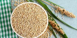Sorghum Millet