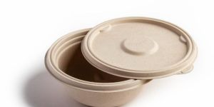 Biodegradable Bowl
