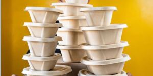 Biodegradable Container