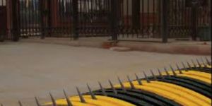 Automatic Hump Tyre Killer