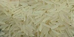 1509 Sella Rice