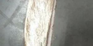 F-7 Dapka Hand Embroidery Thread