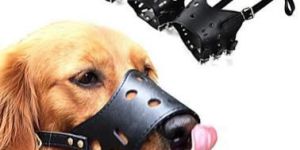 Dog Leather Muzzle