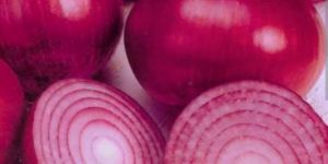 Red Onion