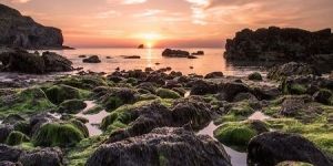 Rock Pooling Adventures Service