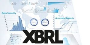 Xbrl Conversion Services