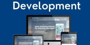 Website Development Services