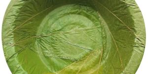 Green Round Sal Leaf Bowl