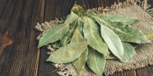 Bay Leaves