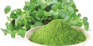 Alfalfa Leaf Powder