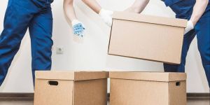 Professional Packers Movers Services