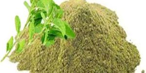 Tulsi Leaf Powder