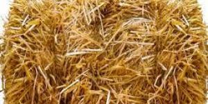 Wheat Straw