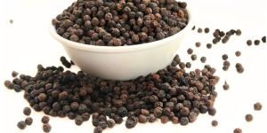 Black Pepper