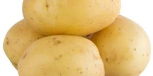 Brown a Grade Fresh Potato