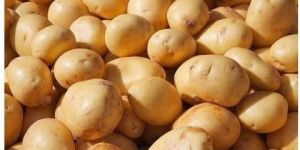 Sugar Free Fresh Potato