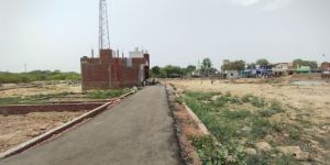 Vermicompost Fertilizer