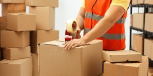 FedEx Courier Services