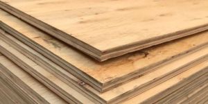 Dry Cargo Flooring Plywood Board