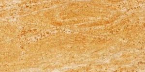 Imperial Gold Granite Slab