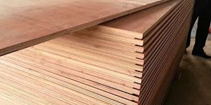 Sea Container Plywood Board