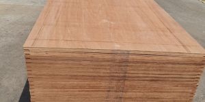 Shipping Container Plywood Board