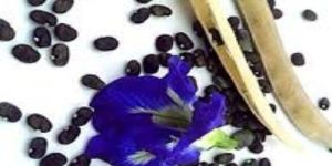 Butterfly Pea Seeds