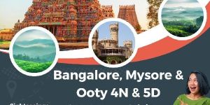 Local Sightseeing Tours