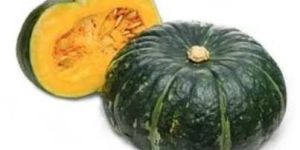Organic Fresh Pumpkin